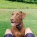Profile Picture of Garrett Thacker (@garrett.thacker.779) on Facebook