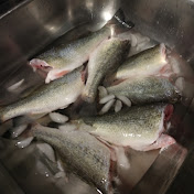 Profile Picture of Johnny Crash (@Crashfishing3) on Youtube