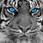 Profile Picture of Eric Parsons (@ericp720) on Instagram