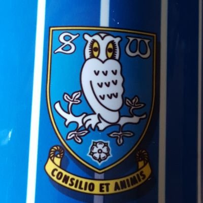 Mark Hope - Twitter Profile Picture of Mark Hope (@owls_4life) on Twitter