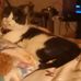 Profile Picture of Michelle Hobson (@michelle.hobson.180410) on Facebook