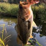 Profile Picture of Bob_Keller (@rwk218) on Instagram