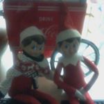 Profile Picture of albertcossio@gmail.com (@albertcossio) on Instagram