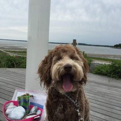 Profile Picture of Monty Kori (@MontyKori) on Twitter