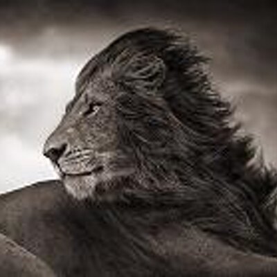 Profile Picture of Christopher Randles (@chriswrandles) on Twitter