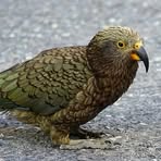 Profile Picture of Beatrice Bauer (@Beatrice-Bauer) on Facebook