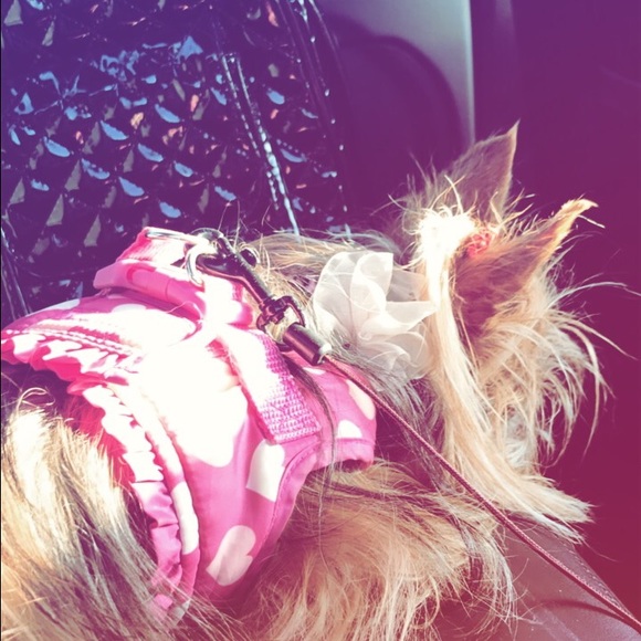 Profile Picture of Bella Latour (@bellalatour) on Poshmark