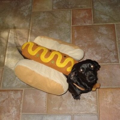 Profile Picture of Jeffrey Stroud (@jeffreystroud) on Twitter