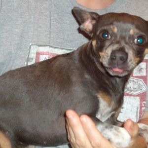 Sheila Stone - Myspace Profile Picture of Sheila Stone (@mammaw57) on Myspace