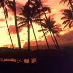 Profile Picture of benvereenenda83839 (@benvereenenda83839) on Instagram