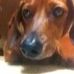 Profile Picture of Willey Parker (@willey.parker) on Facebook