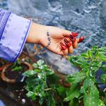 Syeda Urooj🧿 - Instagram Profile Picture of Syeda Urooj🧿 (@uroojofficial.004) on Instagram