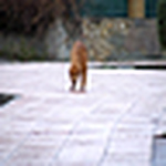 Profile Picture of Julian  Rodriguez Garcia-camacho (@juli rgc) on Flickr