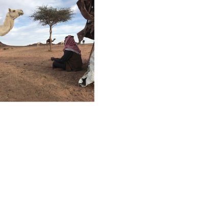 Profile Picture of عبد الطيف (@kataf26966) on Twitter