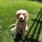 Profile Picture of Gregg Witters (@greggwitters) on Instagram