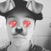 Profile Picture of Bryan Pavan (@bryan.pavan.96) on Facebook