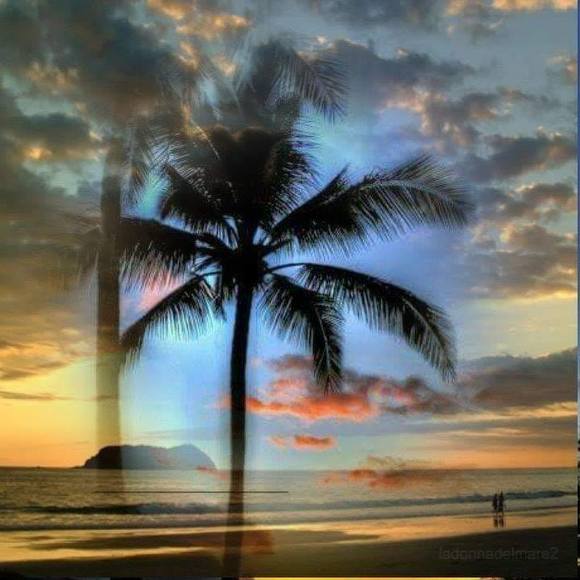 Brenda Artioli - Poshmark Profile Picture of Brenda Artioli (@bren71158) on Poshmark