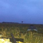 Profile Picture of Tyler Wilton (@tylwil15) on Instagram