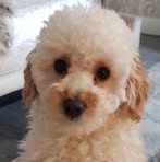 Yvette Link Wiggin - Facebook Profile Picture of Yvette Link Wiggin (@yvette.wiggin) on Facebook