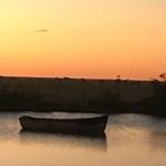 Profile Picture of Kym Webb (@kym.webb) on Instagram