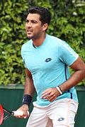 Profile Picture of Aisam-ul-Haq Qureshi career statisticson Wikipedia