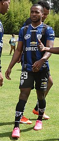 Miler Castillo - Wikipedia Profile Picture of Miler Castilloon Wikipedia