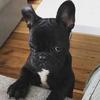 Profile Picture of Harold H (@@haroldhec) on Tiktok