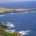 Profile Picture of Shandy Stath (@shandys) on Pinterest