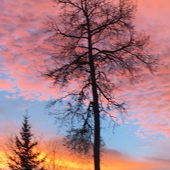 Profile Picture of Casey Truax (@caseyctruax) on Poshmark