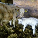 Profile Picture of Peter sandin (@sandin_p) on Instagram