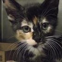 Lori Jones - Quora Profile Picture of Lori Jones (@lori-jones-16) on Quora