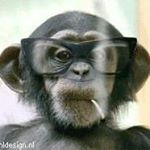 Profile Picture of Catalin Enescu (@catalin.enescu) on Instagram