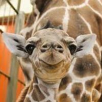 Profile Picture of Dawn Mcdaniel (@dawn-mcdaniel-5) on Quora