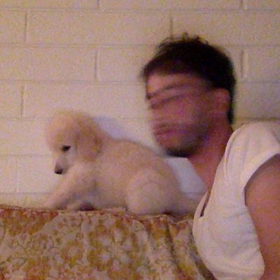 Profile Picture of Julian Stein (@julianstein) on Twitter