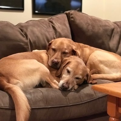 Profile Picture of Jordan (@feiner_jordan) on Twitter