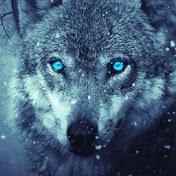 Profile Picture of Joseph Burch (@Shadow_3.0966) on Youtube