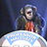 Profile Picture of Matt Jordan (@mj1981) on Flickr