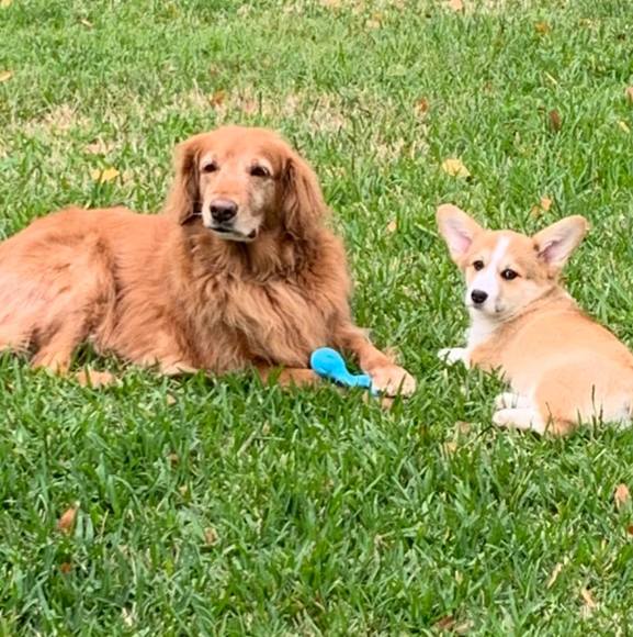 Profile Picture of Coralia Valdez (@adriana19792011) on Poshmark