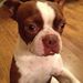 Profile Picture of Cheryl Linkinhoker (@linkinhoker) on Pinterest