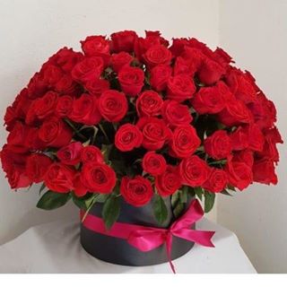 Profile Picture of Consuelo Porras (@consuelo.porras.526) on Facebook
