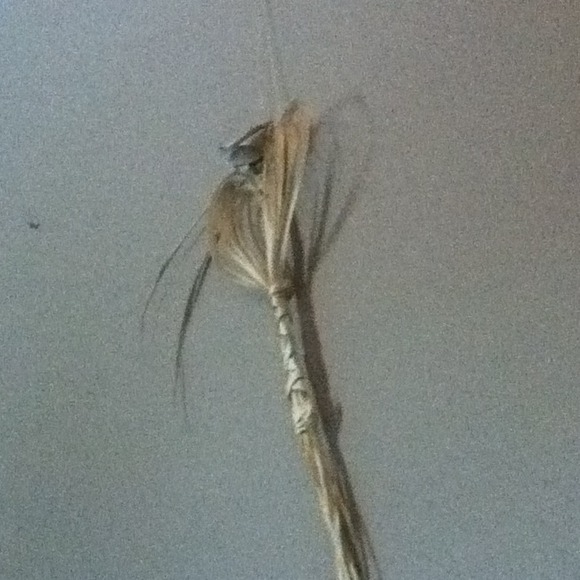 Profile Picture of Jon Pringle (@jgry) on Poshmark