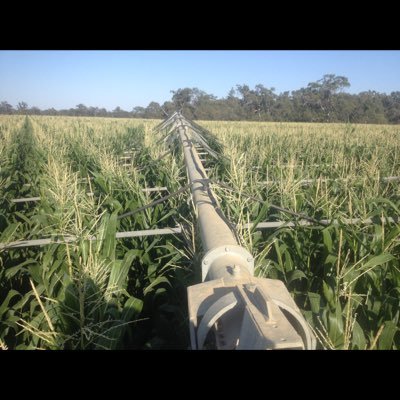 Profile Picture of Scott Burger (@scottburger00) on Twitter