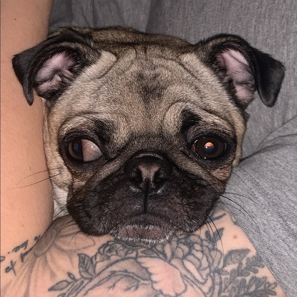 Profile Picture of Michael Seigle (@michaelseigle) on Poshmark