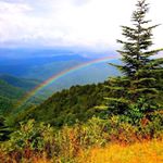 Trish McConnell - Instagram Profile Picture of Trish McConnell (@mcconnells4) on Instagram