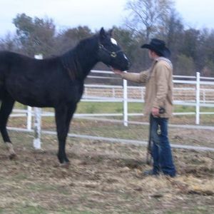 Profile Picture of Josh Lambright (@21cowboy21) on Myspace
