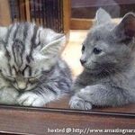 Profile Picture of Stan Foster Sparrow (@stanfostersparrow) on Instagram