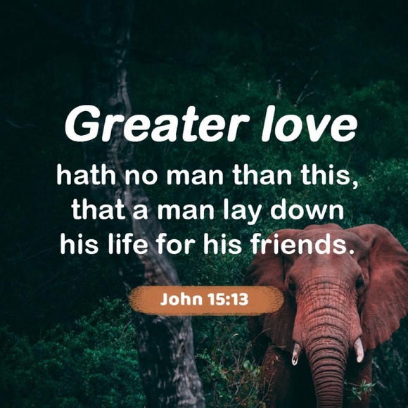 Profile Picture of Amigo Amigo (@samuelmorris941) on Poshmark