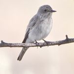 Profile Picture of Сергей Голубев (@sergey__golubev__) on Instagram