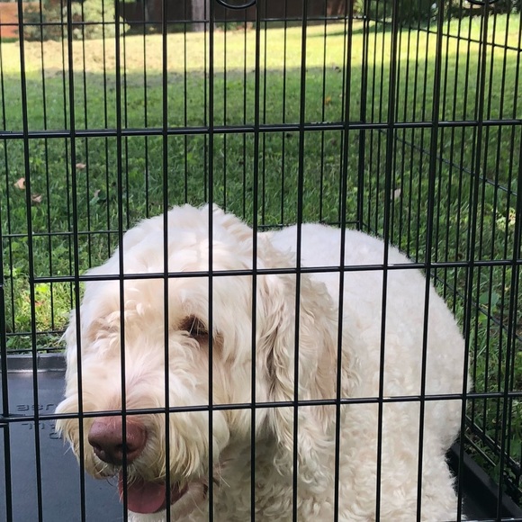 Profile Picture of Oliver Schouest (@blijotis) on Poshmark