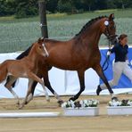 Profile Picture of Hans Schmid (@hans.schmid.33) on Facebook